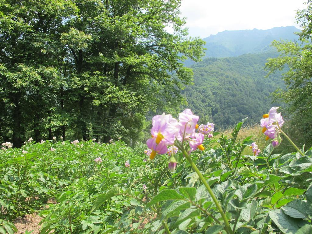 Meiro Di Choco Pradleves エクステリア 写真